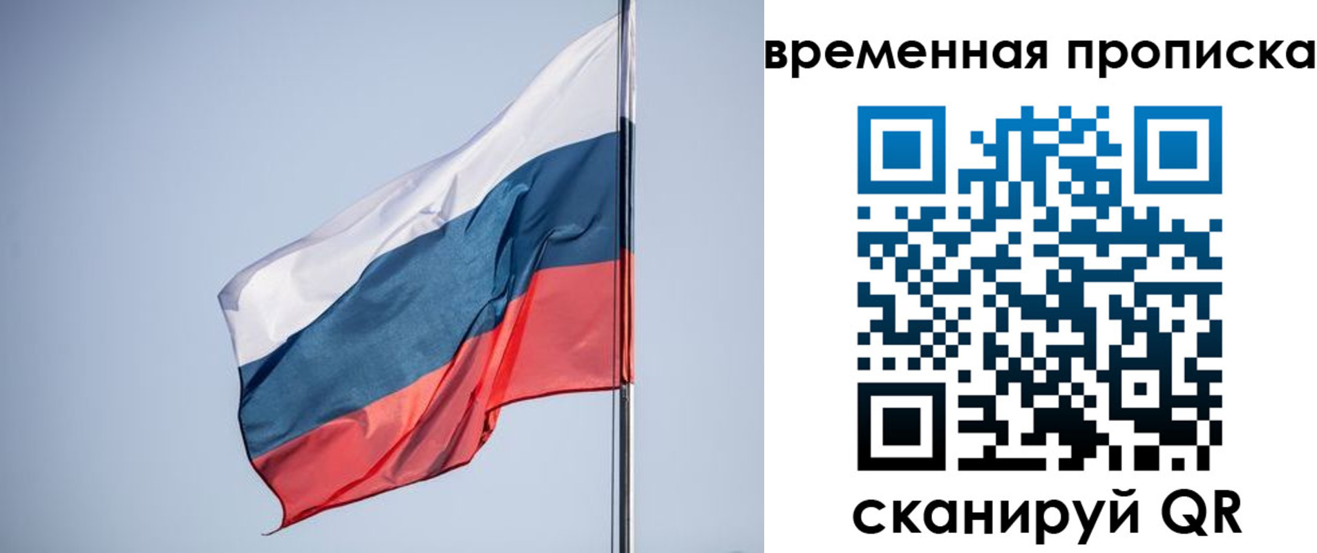 купить прописку в Сельцо
